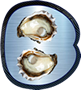 Bluoyster Technology Services